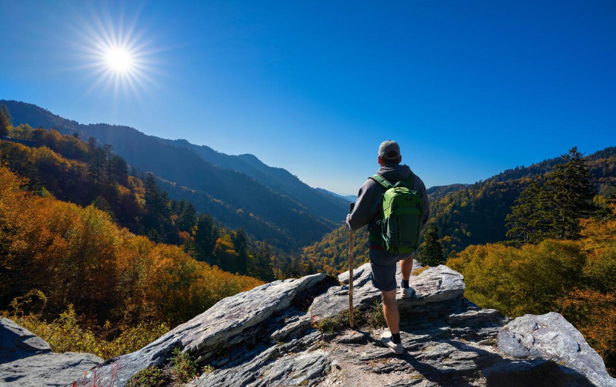 Majestic View Lodge, Amazing Views, Hot Tub, 1089 Free Tickets Each Paid Day, Dollywood And More Гетлинбург Екстериор снимка