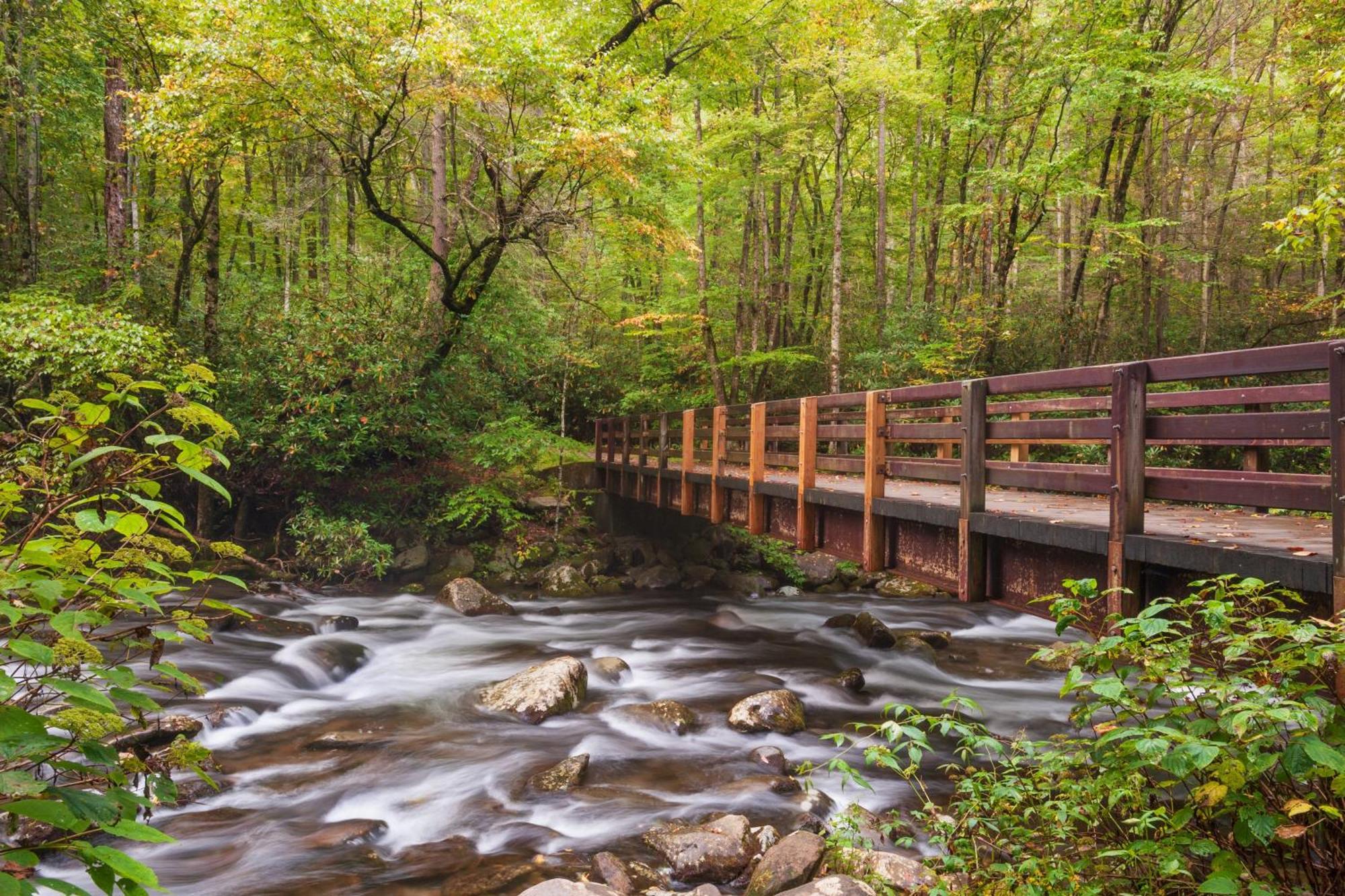 Majestic View Lodge, Amazing Views, Hot Tub, 1089 Free Tickets Each Paid Day, Dollywood And More Гетлинбург Екстериор снимка